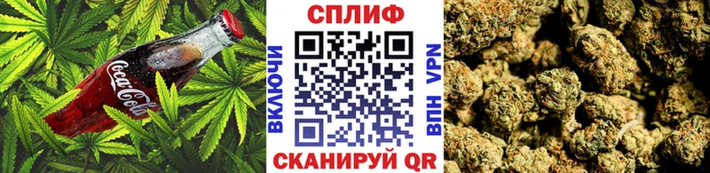 хочу наркоту Щёлкино Еда ТГК марихуана