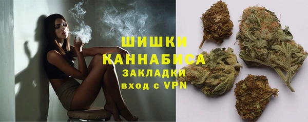 дурь Карпинск