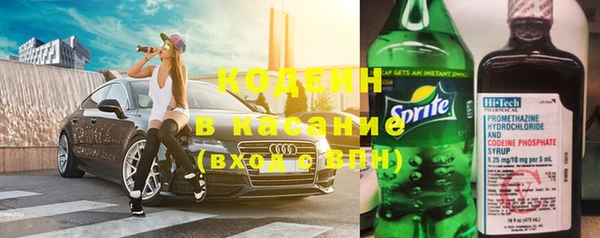 дурь Карпинск