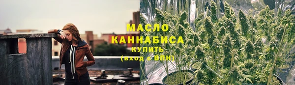 гашик Касимов