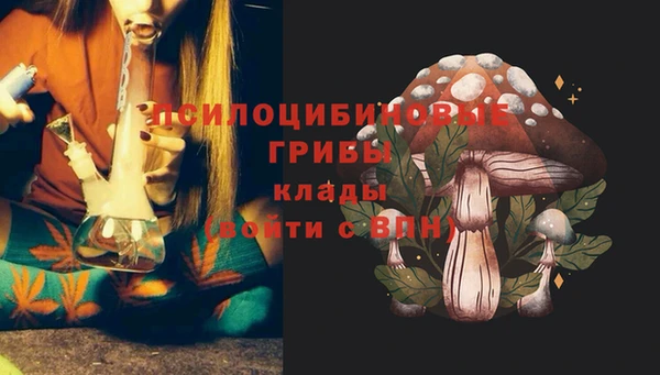 дурь Карпинск