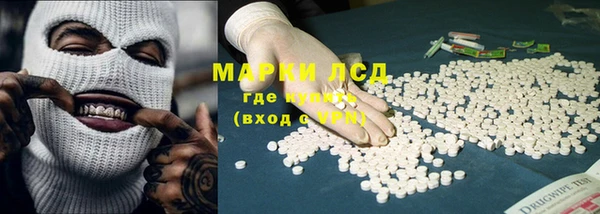 дурь Карпинск