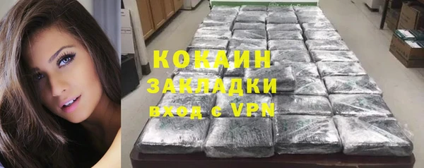 гашик Касимов