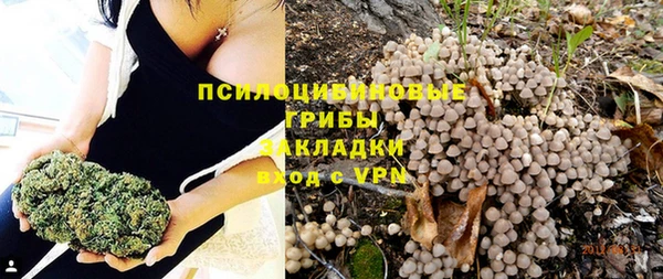 дурь Карпинск