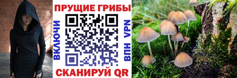 Галлюциногенные грибы ЛСД  omg как зайти  Щёлкино 